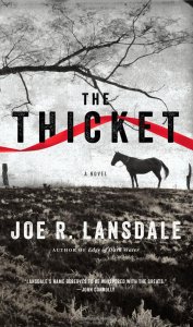 The Thicket (Joe R. Lansdale) amazon